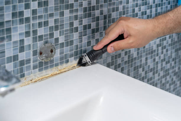 Mold Testing and Removal in Bell Gardens, CA